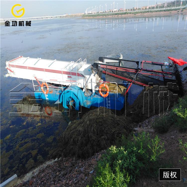 金功多功能全自动割草船水葫芦打捞船 水浮莲收割打捞运输装置