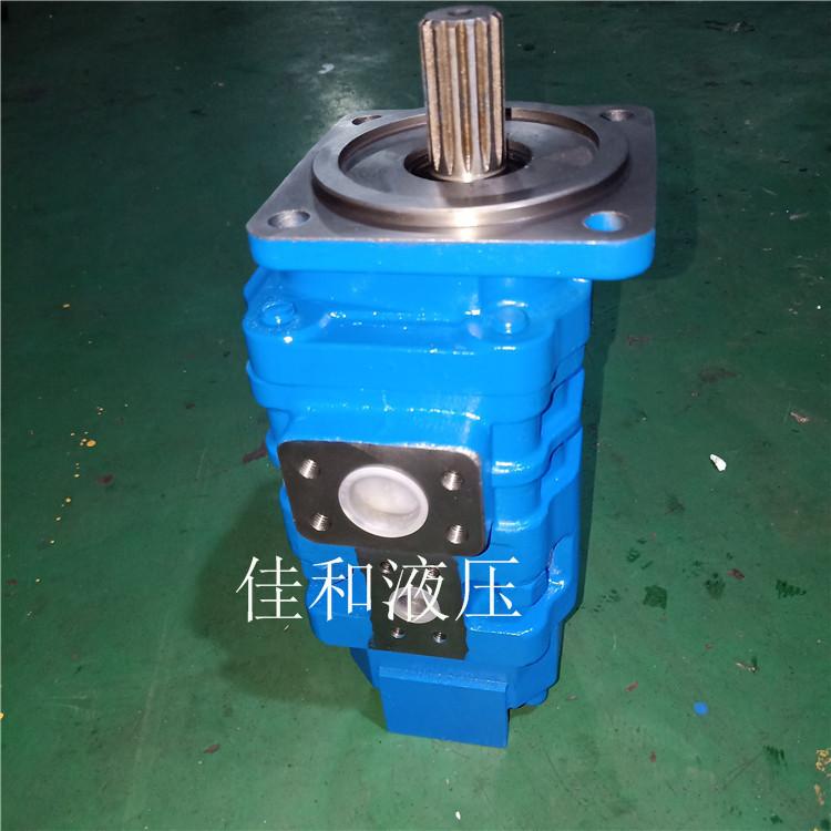 龙工压路机双联泵厂家供应 P5100-F100NP3676/P124-G25G