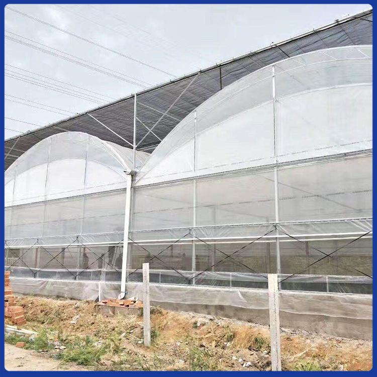 薄膜连栋温室大棚 薄膜连栋温室工程 点击咨询温室大棚报价