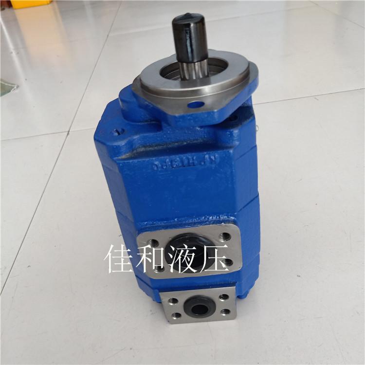 泊姆克双联泵供应 P124B182XDZA15-54PBZA02-1
