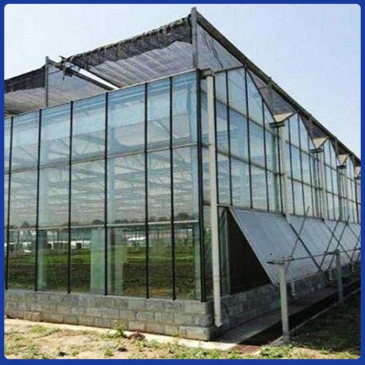 连栋玻璃温室 天津玻璃温室建造公司 育苗玻璃温室承建