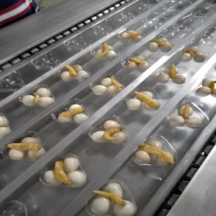 榴莲包装机 拉伸膜包装机 榴莲装袋包装 封盒包装机