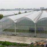 薄膜温室厂家 薄膜蔬菜大棚 种植养殖薄膜连栋温室