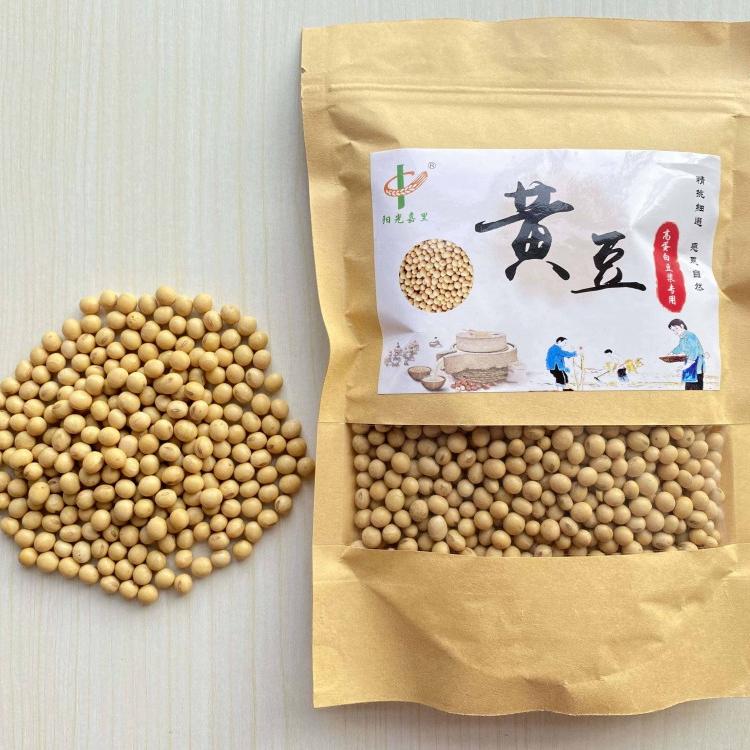 新品种大豆 非转基因大豆 有机大豆郑1307 大豆原粮产量高  黄豆农家 厂家直销