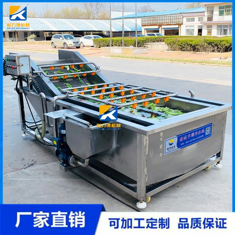 白菜气泡清洗机 中央厨房净菜加工设备 全自动果蔬清洗机 瓜果蔬菜净菜流水线设备厂家