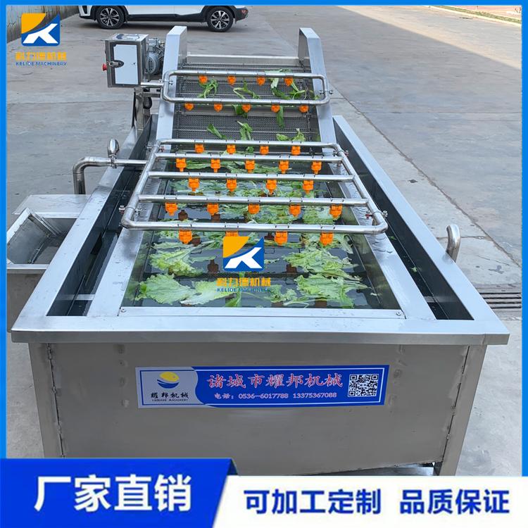 全自动果蔬气泡清洗机 生菜茄子多功能清洗机 大枣清洗去污流水线
