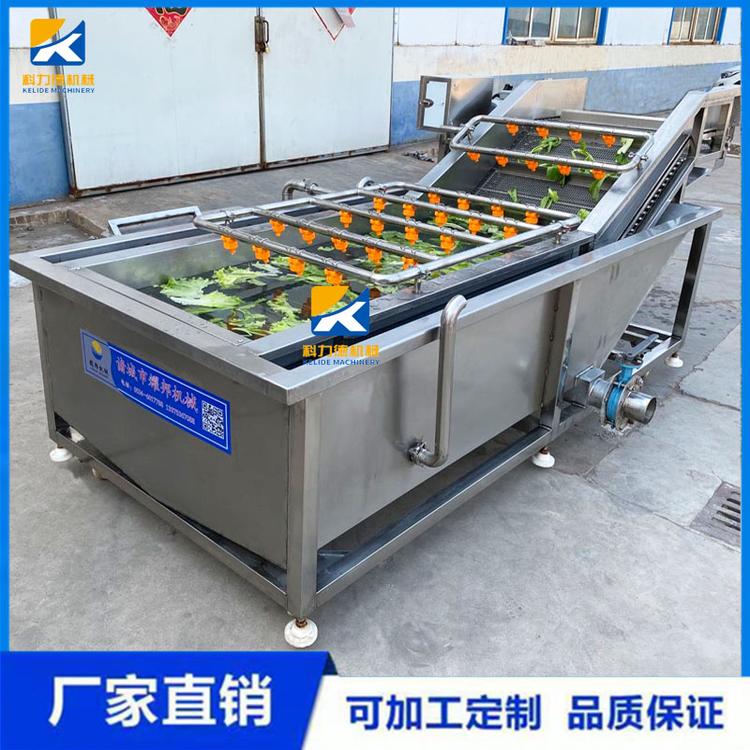 大型多功能气泡式果蔬清洗机 全自动翻浪式菠菜气泡清洗机 净菜加工流水线
