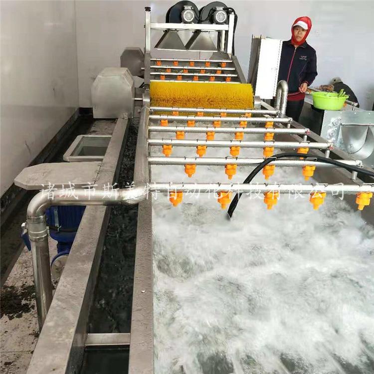 翻浪式气泡清洗机制造商  胡萝卜高压喷淋清洗设备  气泡喷淋式辣椒清洗机