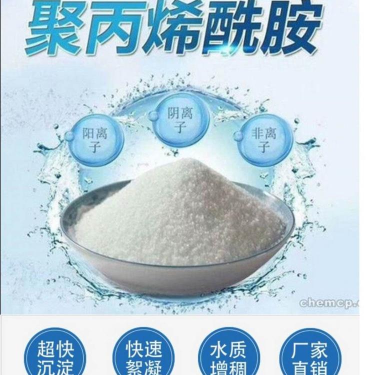 聚丙烯酰胺PAM 高分子絮凝剂 阴离子阳离子污泥污水沉淀剂