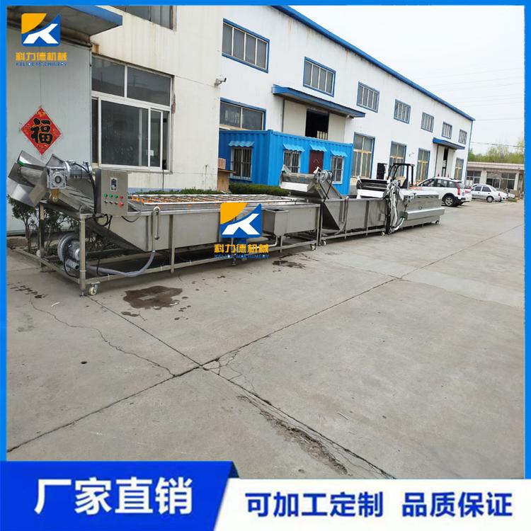 米线蒸煮漂烫蔬菜清洗流水线 全自动山野菜清洗加工设备 菌类蒸煮漂烫冷却线