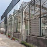 玻璃温室设计 连栋玻璃温室大棚 文络玻璃温室建造 北方园艺温室