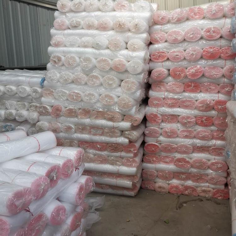 批发出售防老化防虫网 寿光防虫网厂家 腾信塑业直销供应