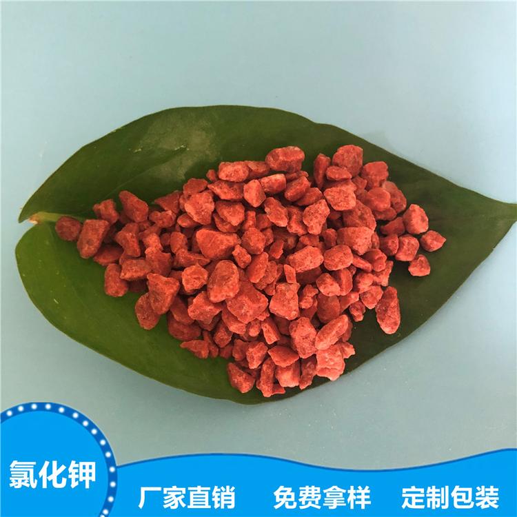 现货供应食品级氯化钾 厂家直销99含量氯化钾 价格实惠
