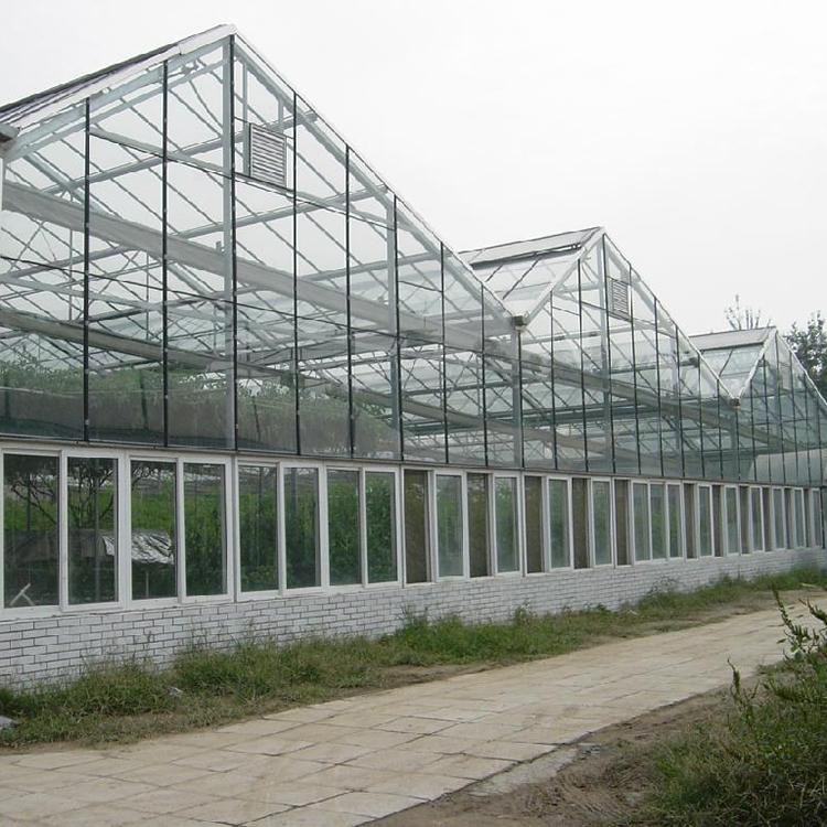 玻璃温室大棚 承建玻璃温室大棚 玻璃温室大棚公司
