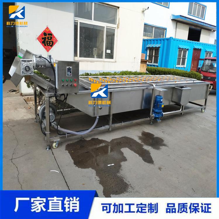 气泡翻浪洗菜机 全自动洋姜翻浪式清洗机 气泡喷淋式马铃薯清洗设备