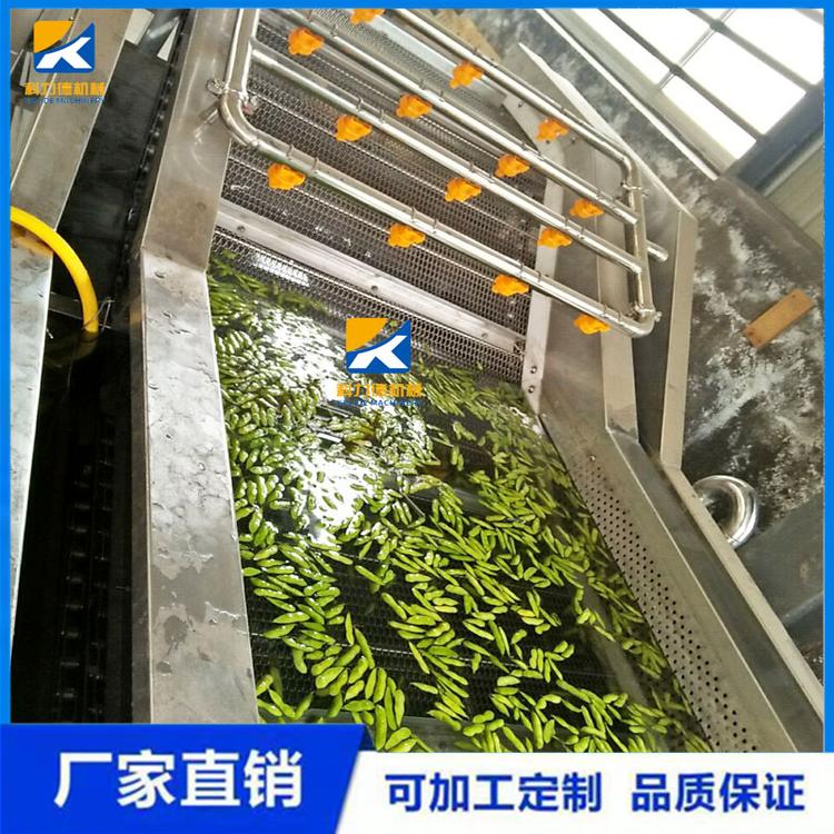 全自动洋姜气泡翻浪式清洗机 高压喷淋式果蔬气泡清洗机 菌菇类杏鲍菇清洗设备