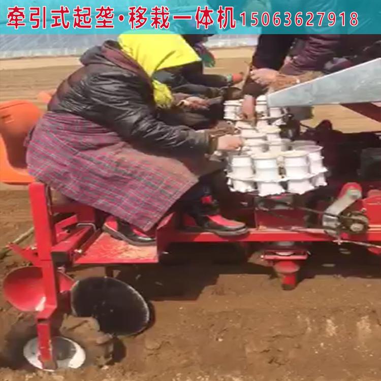 黄芩移栽机 多行牵引式药材移栽机生产厂家 厂家直销