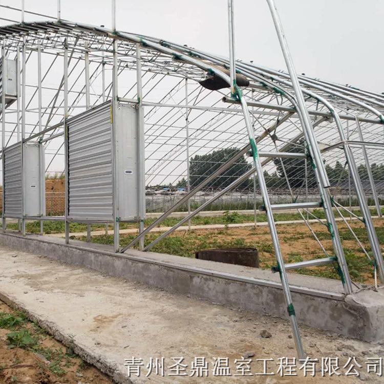 农业种植日光温室 育苗日光温室设计 承建育苗日光温室