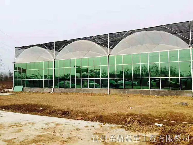 连栋玻璃温室价格 承建连栋玻璃温室建造商