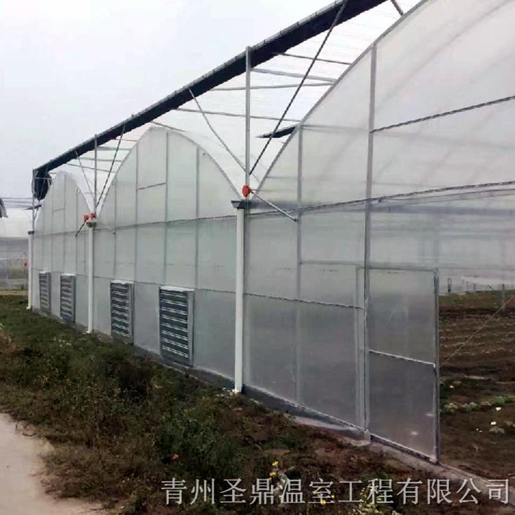承建连栋薄膜温室 连栋薄膜温室建造商 价格优惠