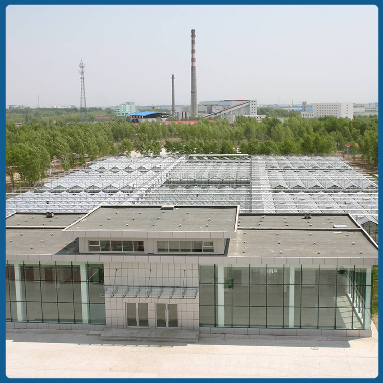 玻璃温室大棚 内外保温遮阳系统 玻璃温室建设 中空钢化玻璃