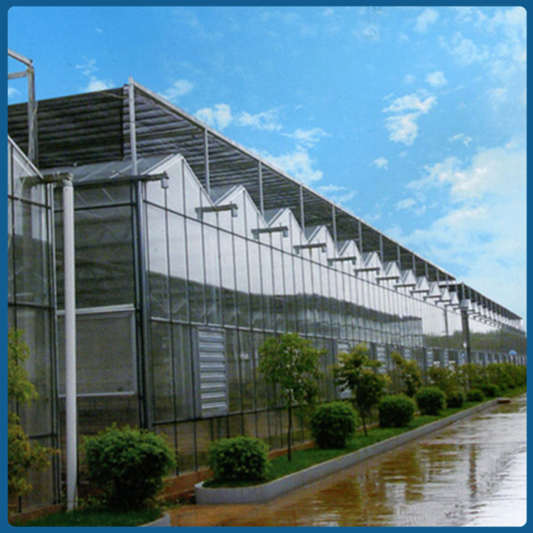 种植大棚 风机湿帘降温通风系统 玻璃温室建造 热镀锌管材框架