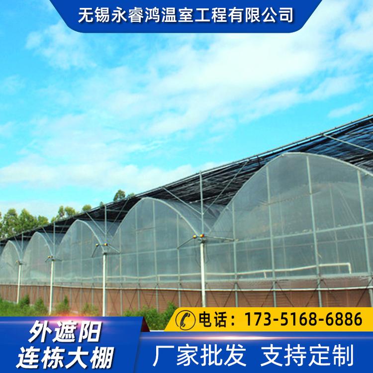 湘潭连栋温室大棚大棚骨架大棚钢管外遮阳大棚蔬菜大棚厂家直销