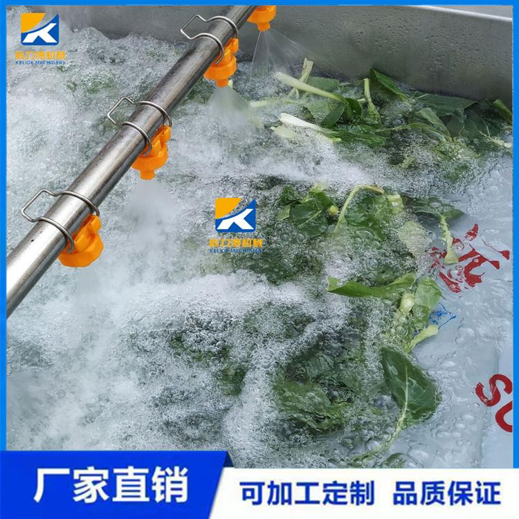 不锈钢蔬菜翻浪式气泡清洗机 芦笋清洗设备 全自动大型水果蔬菜洗菜机