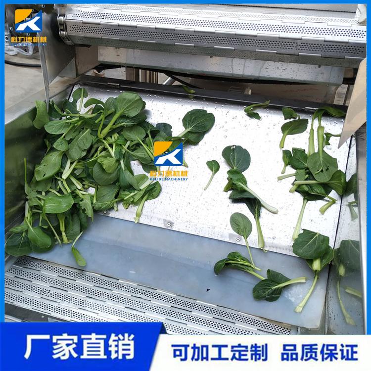 草莓枸杞翻浪高压清洗机 果蔬配套清洗加工设备 空心菜气泡清洗机