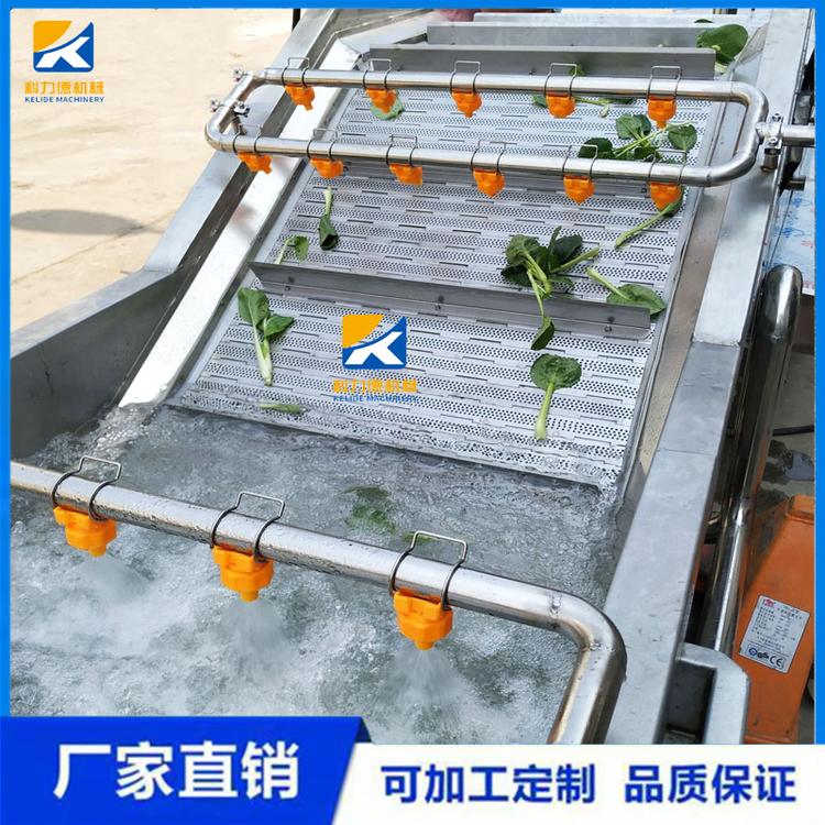 全自动翻浪式木耳银耳气泡清洗机 多功能喷淋式净菜加工流水线 翻浪式清洗去杂机