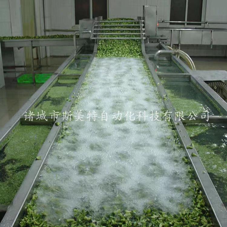 蔬菜清洗流水线 叶类蔬菜气泡清洗机 多功能洗菜机