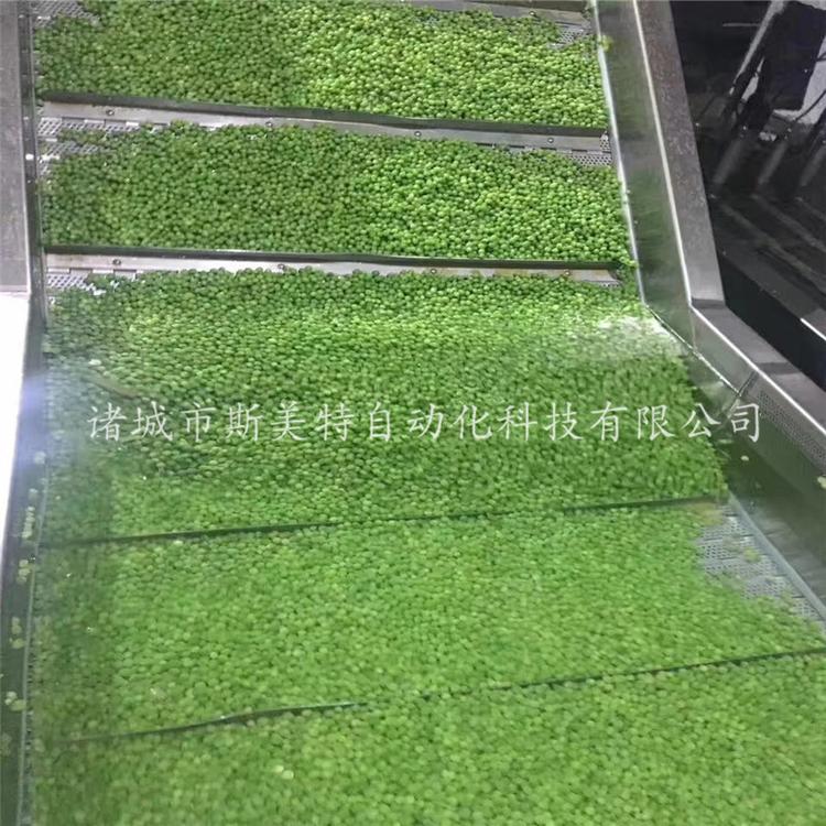 商用全自动果蔬蔬菜清洗流水线 多功能洗菜机 中央厨房加工使用