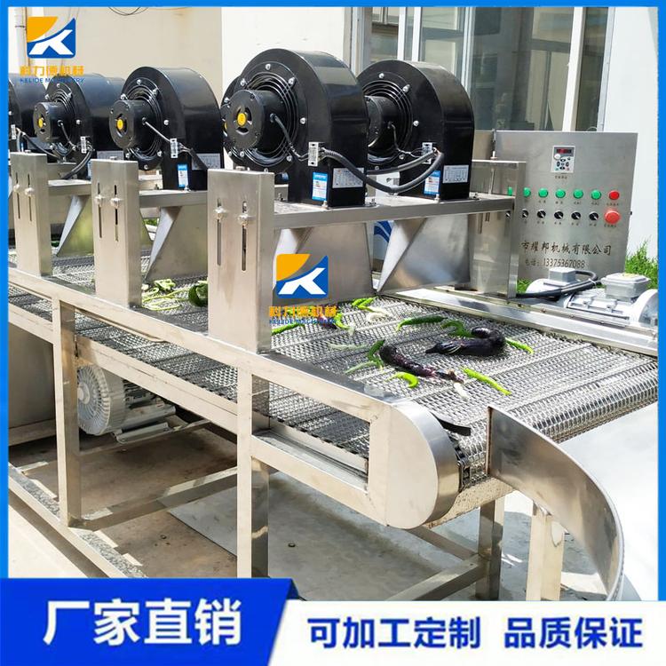 全自动喷淋果蔬气泡清洗机 白菜生菜多功能洗菜机 连续式蔬菜加工流水线