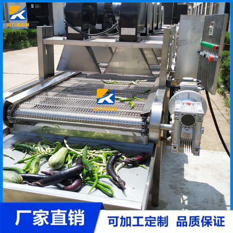 海带杀菌气泡清洗机 多功能白菜蓝莓气泡式清洗机 喷淋式海参清洗设备