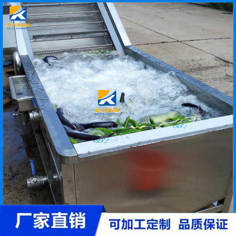 厂家直销多功能商用果蔬清洗机 气泡式蔬菜洗菜机 全自动高压喷淋清洗设备
