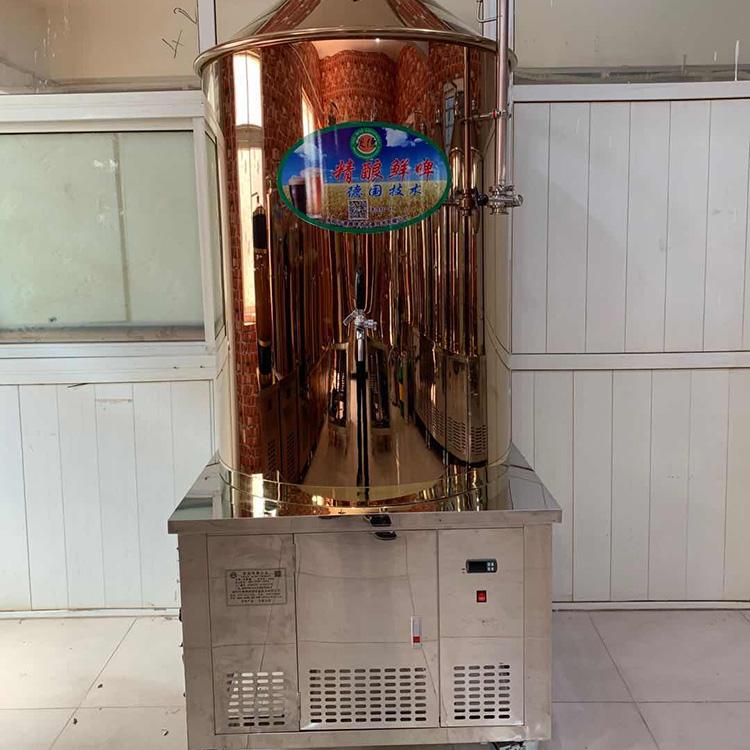 酿酒设备厂家 自酿小型啤酒设备 精酿啤酒小型设备价格
