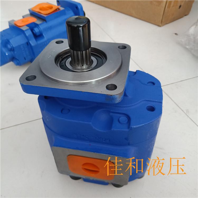 天津泊姆克齿轮油泵价格/泊姆克齿轮泵数字代码