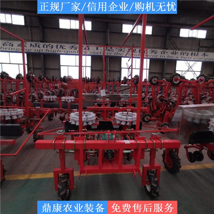 青州移栽机 多行药材移栽机 艾草移栽机