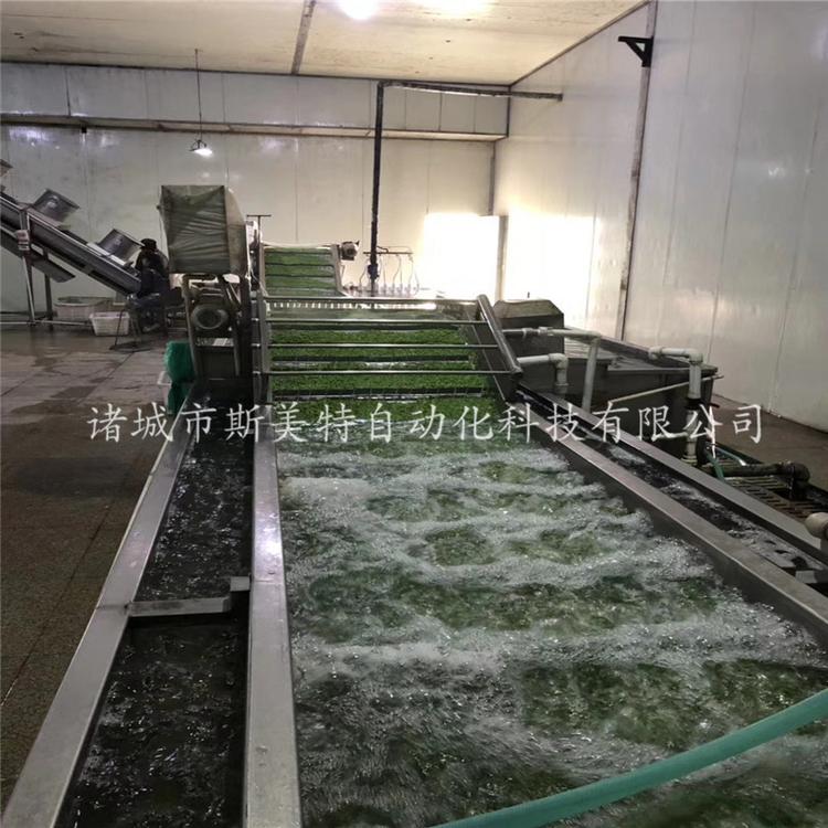 酸菜清洗流水线 大型气泡清洗机 不锈钢洗菜机厂家