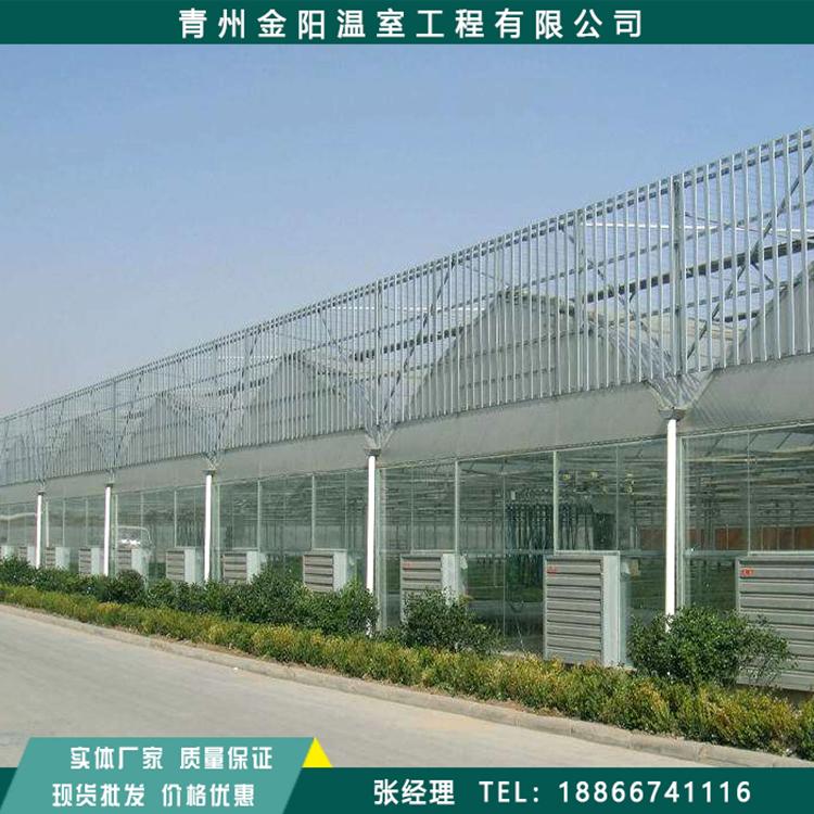 温室大棚厂家_连栋玻璃温室大棚_温室大棚公司-青州市金阳温室工程
