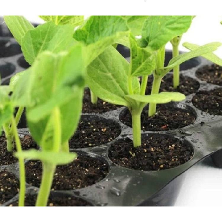 四川 柑橘苗种植营养土  成都园樾有机肥 草炭土椰糠土营养土