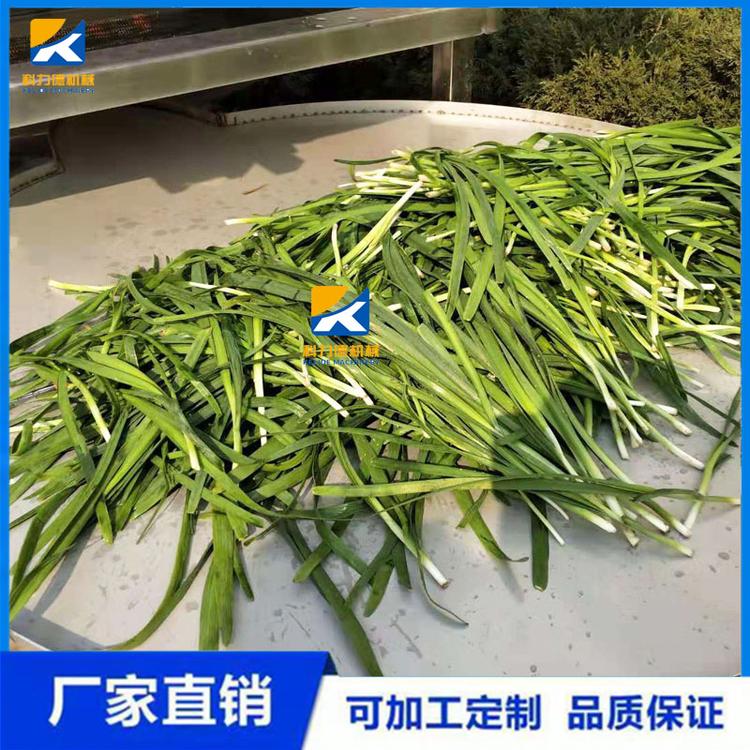 厂家生产自动冲浪卷心菜清洗机 高丽菜翻浪清洗机 高压喷淋气泡清洗机
