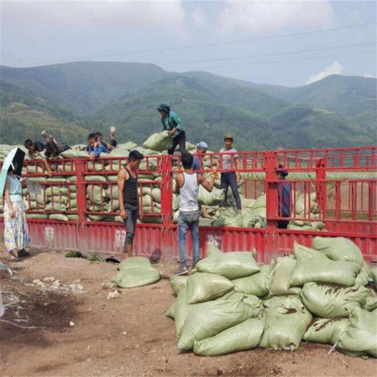 园樾有机肥草炭土 四川草炭土销售批发 草炭土厂家直销 欢迎订购