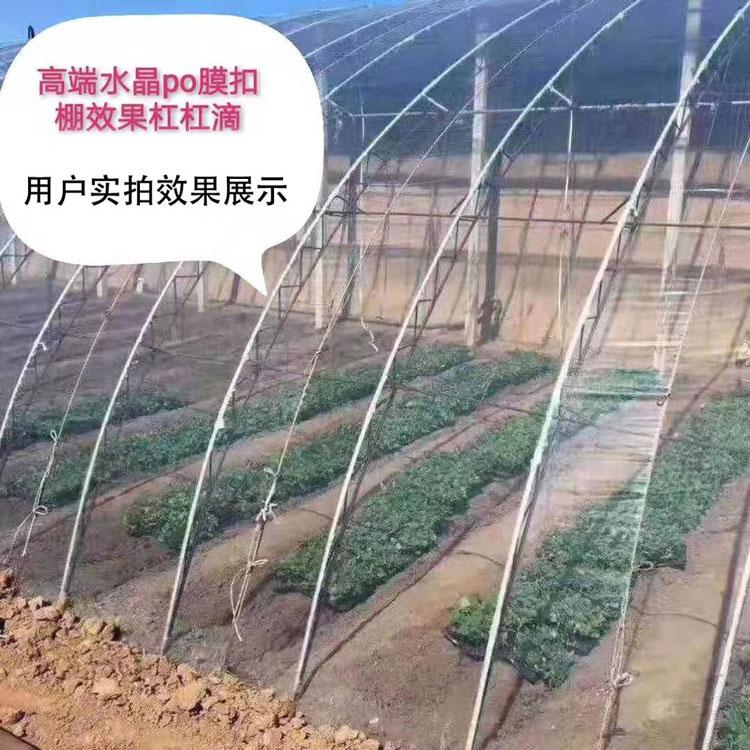 温室大棚膜 水晶PO膜供应商 厂家直售