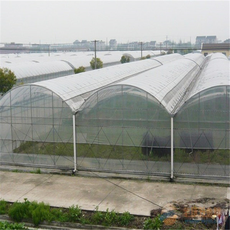 种植薄膜温室大棚 连栋薄膜温室 智能薄膜温室生产厂家 北方园艺温室