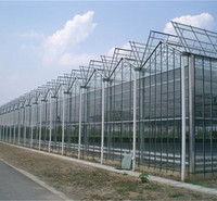半地下日光温室 日光温室大棚造价 玻璃温室大棚建造商