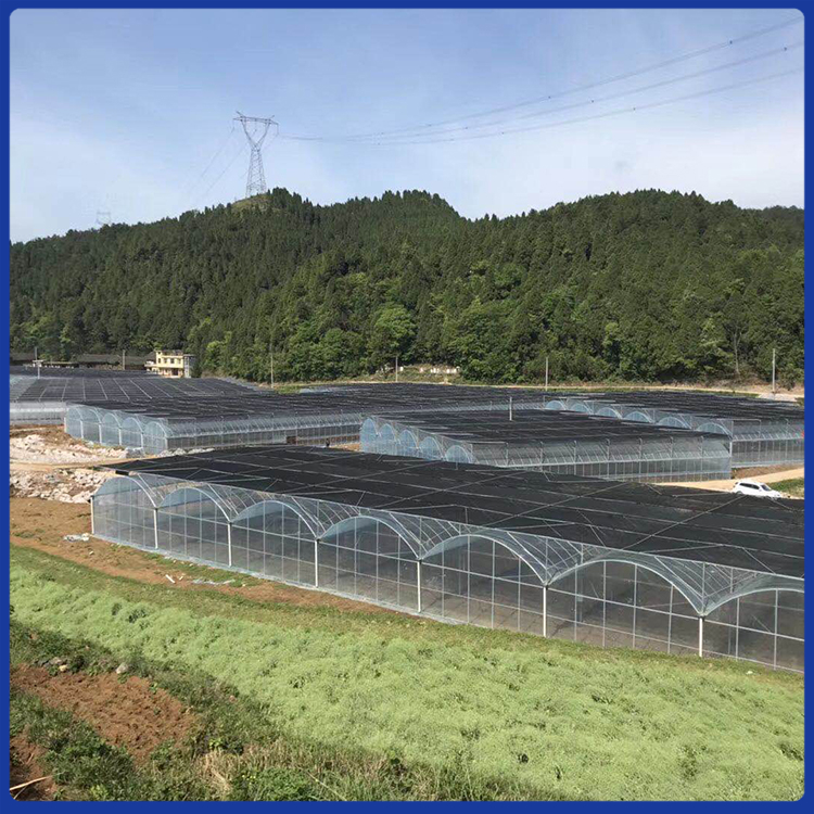 智能玻璃温室 新型玻璃大棚 玻璃温室建设 农业玻璃温室价格 龙玺温室