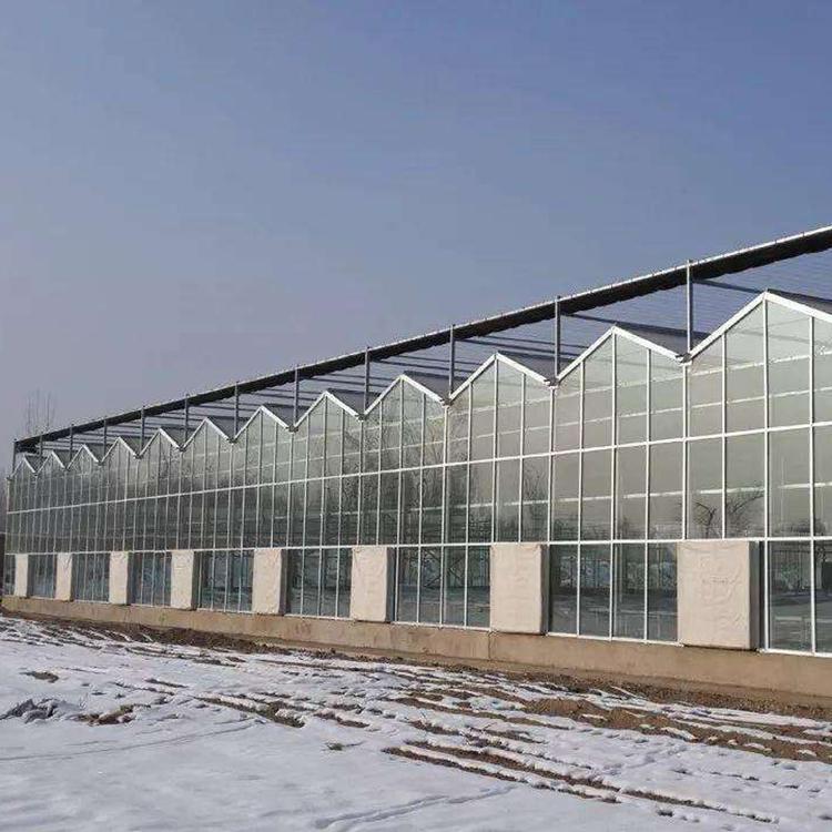 山西农业温室大棚 阳光板温室大棚设计
