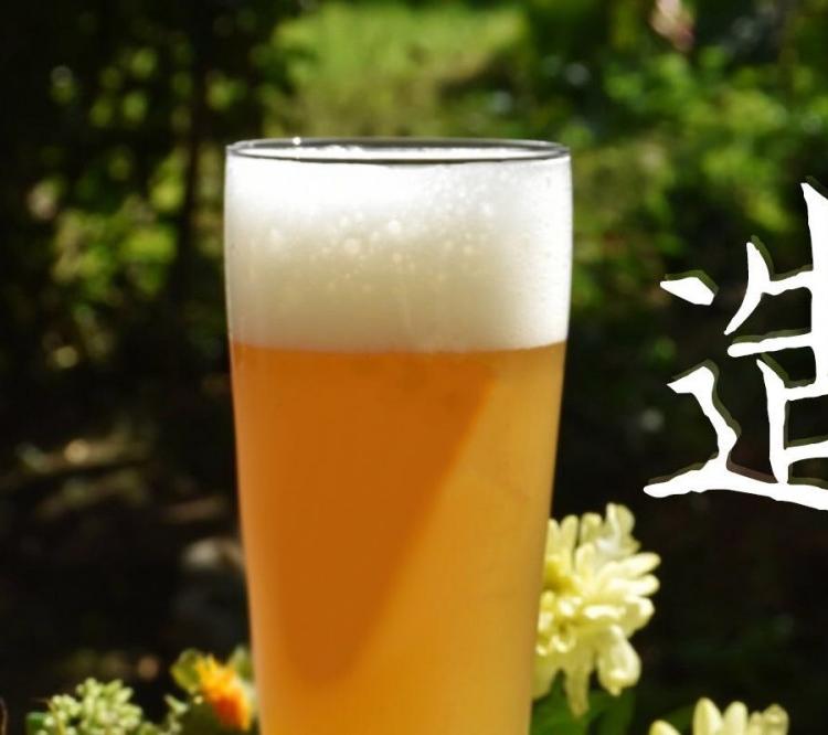 贵阳精酿啤酒批发 啤酒厂家 啤酒贴牌代工