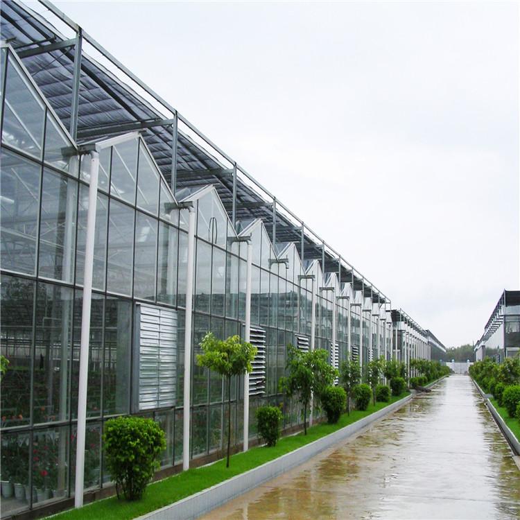 玻璃温室大棚厂家生产 温室大棚建设